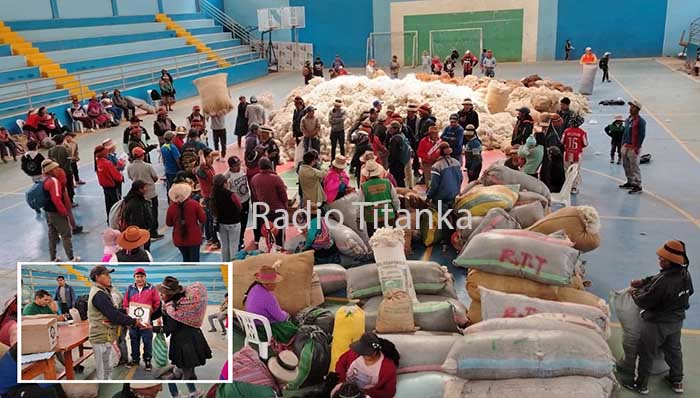 Se desarrolló exitoso primer acopio y venta de fibra de cría de alpaca en Totora Oropesa 